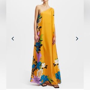 NWT La DoubleJ Roy Dress (Placee) Cameo Blooms Placee in Twill Silk